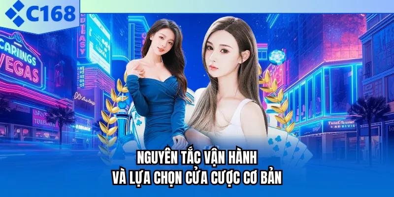 Nguyên tắc vận hành và lựa chọn cửa cược cơ bản